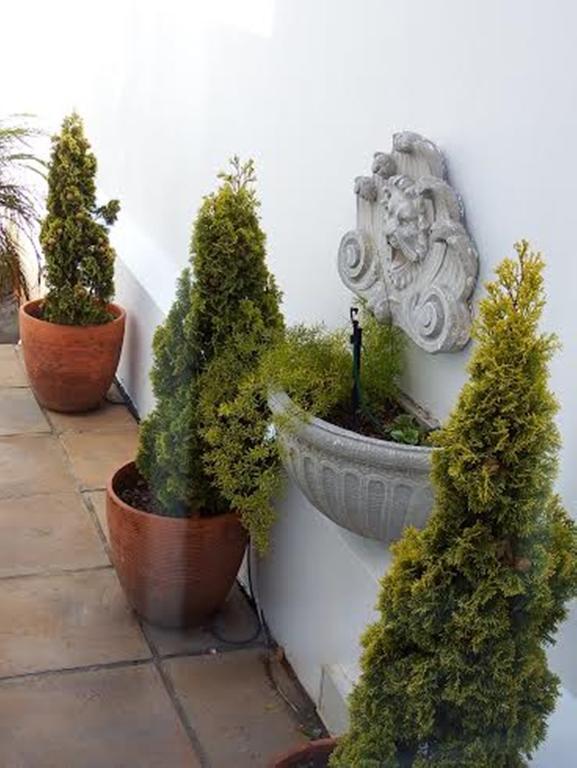 Belvedere Cottages Port Elizabeth Luaran gambar